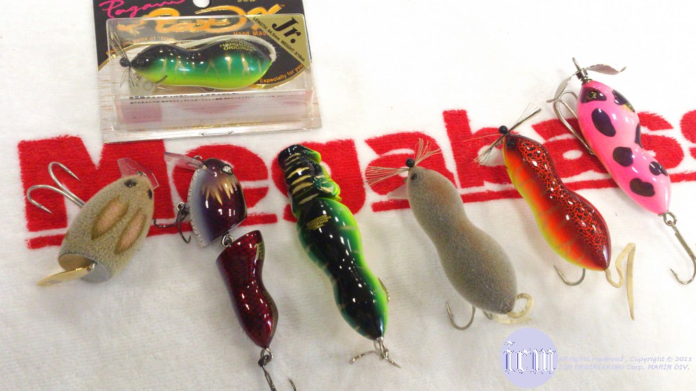 2012年 フレッシュウォーター フォトコンテスト 2nd & 3rd
